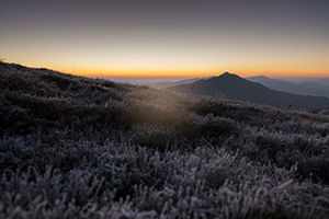 Wojciech Kapuściński, Fotografia, Galeria, Zdjęcia 