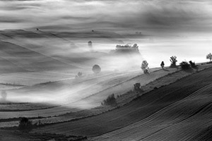 Wojciech Kapuściński, Fotografia, Galeria, Zdjęcia 