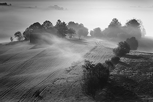 Wojciech Kapuściński, Fotografia, Galeria, Zdjęcia 